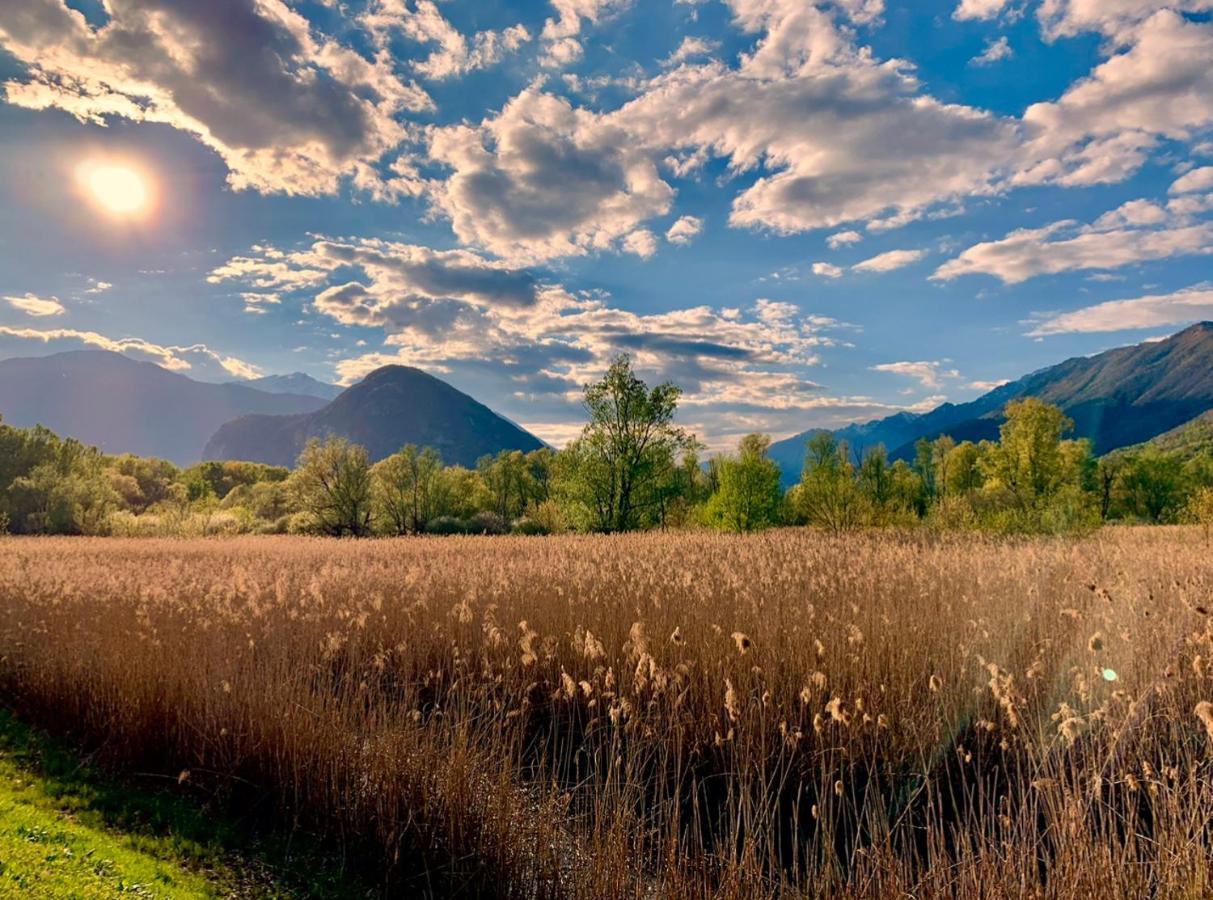 Apartmán La Tana Del Ludo Baveno Exteriér fotografie