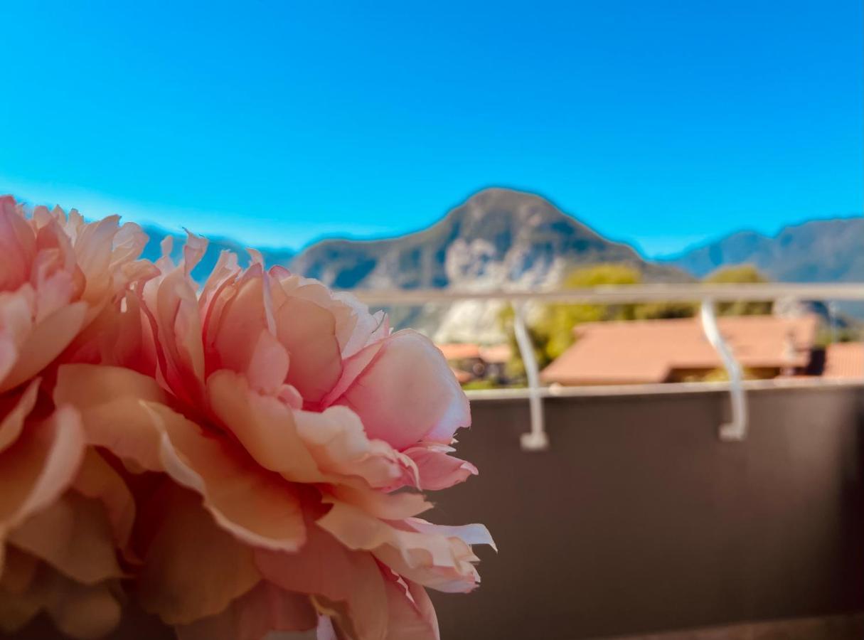 Apartmán La Tana Del Ludo Baveno Exteriér fotografie